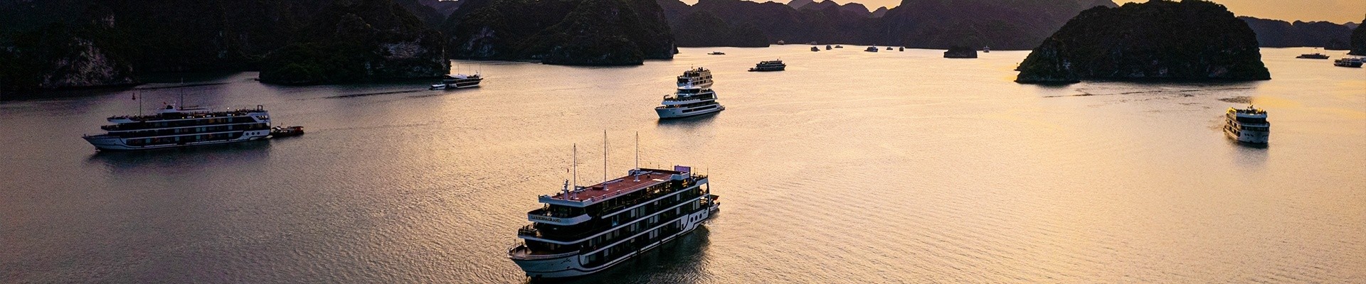 Private Cruises